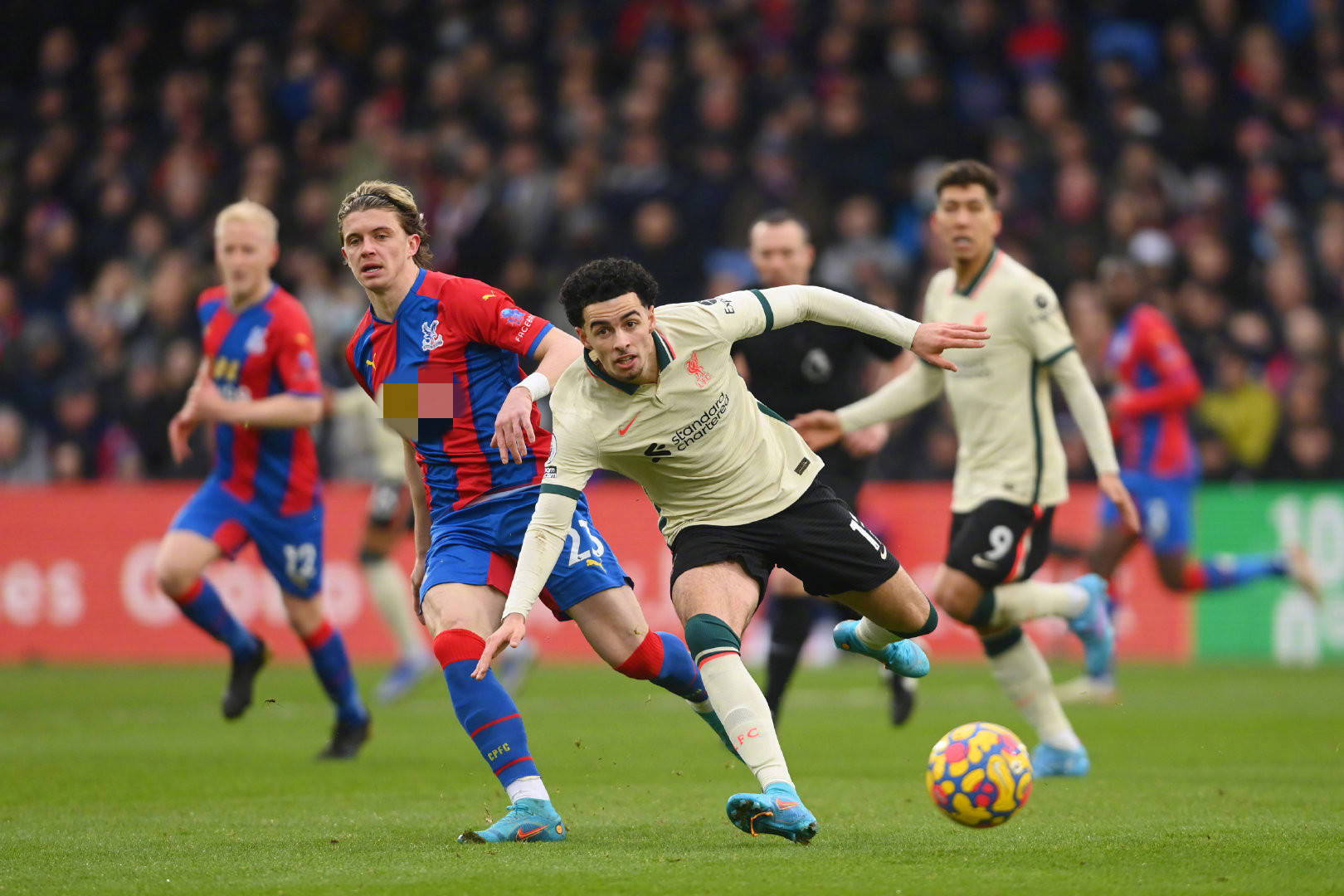 教练重用他 教练重用他